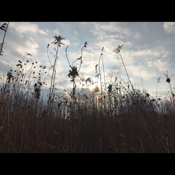 Just a babygirl in the world. - Picture 1 of 1